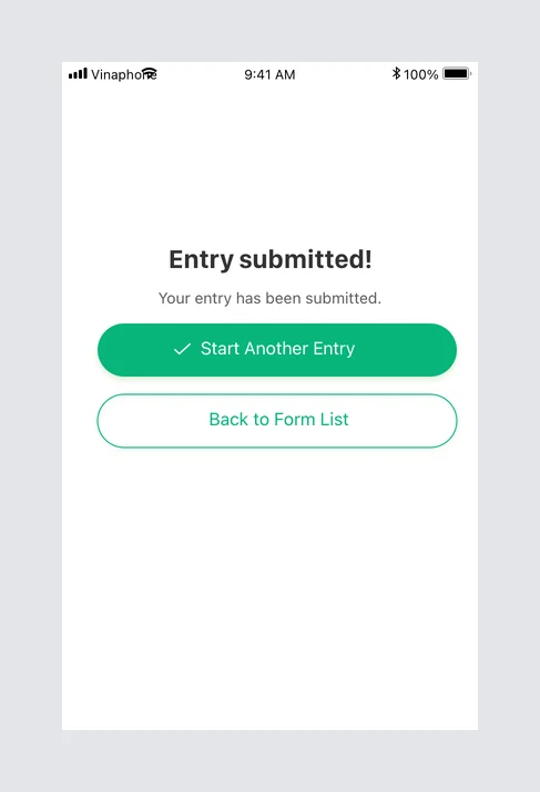 Submitted-entry confirmation with Start Another Entry as the primary action